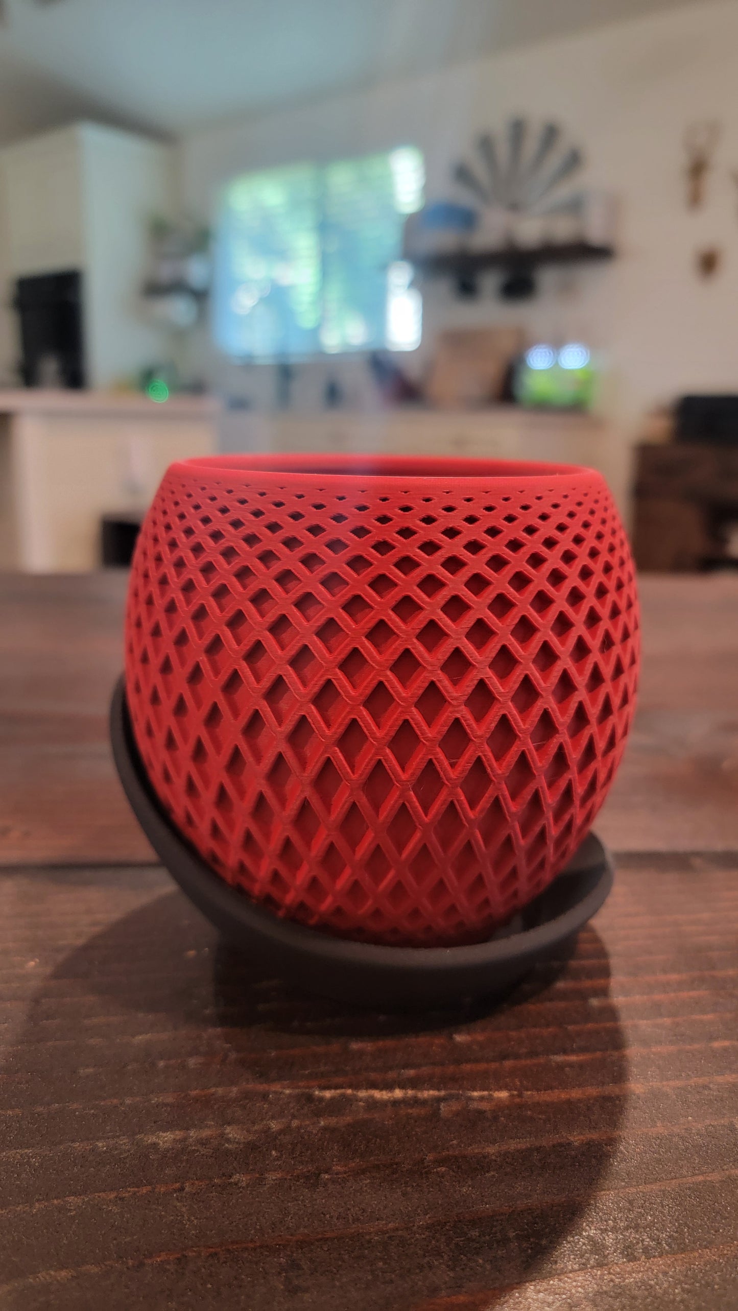 Geometric Planter with Drainage Tray