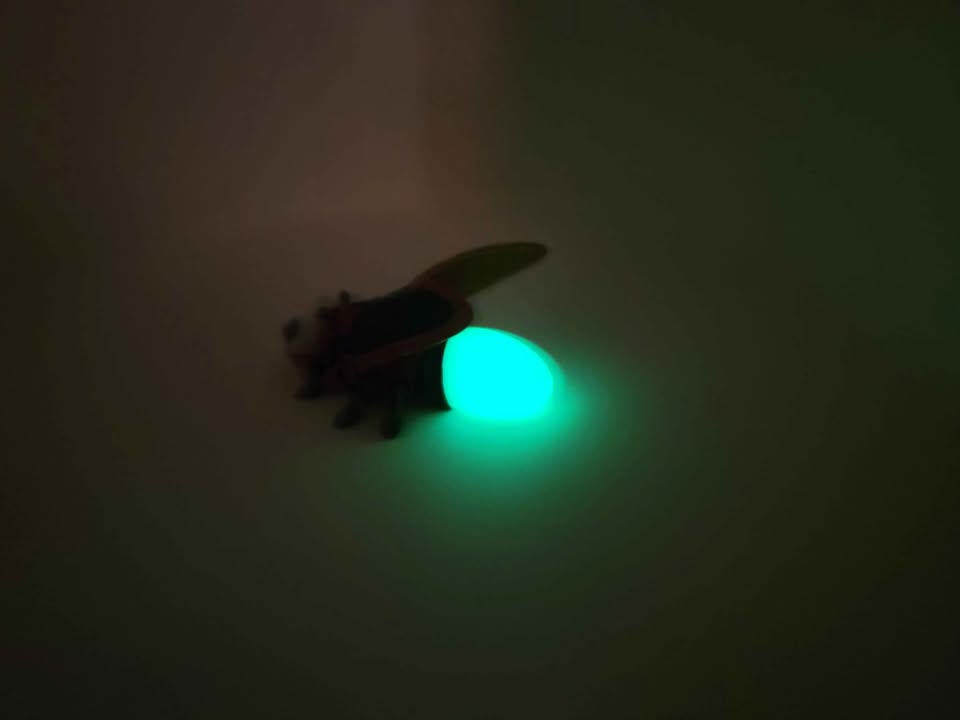 Lightening Bug