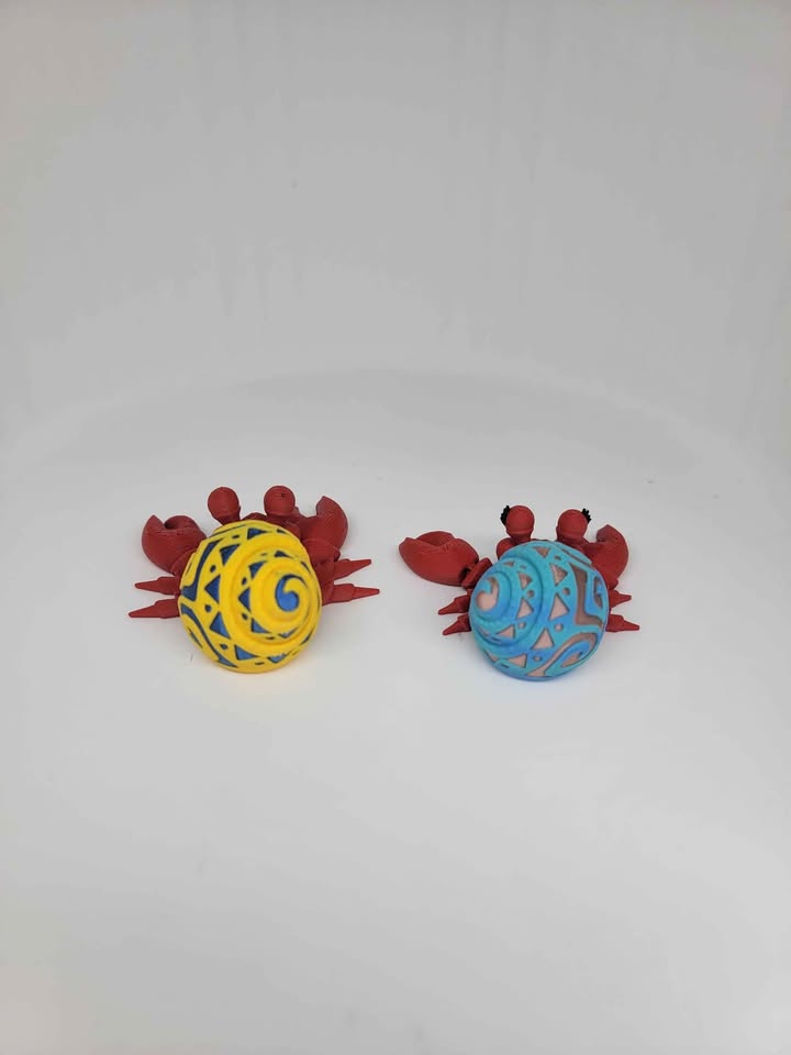 Hermit Crab