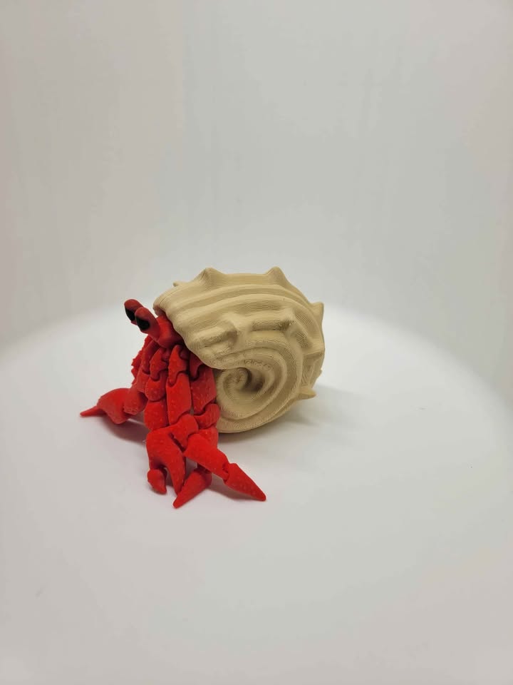 Hermit Crab