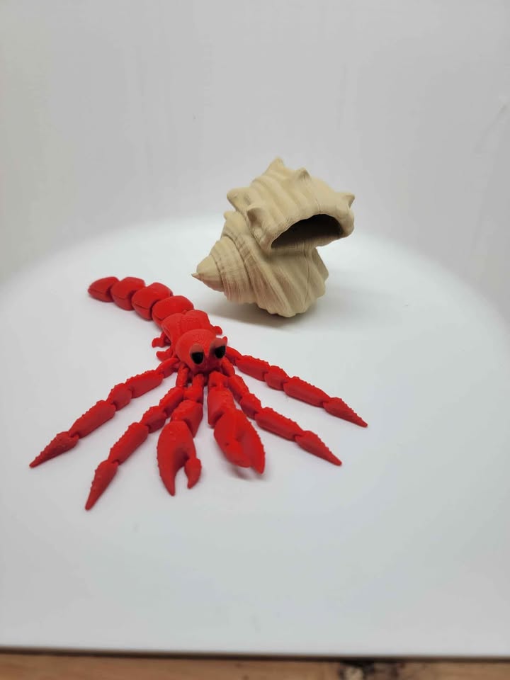 Hermit Crab
