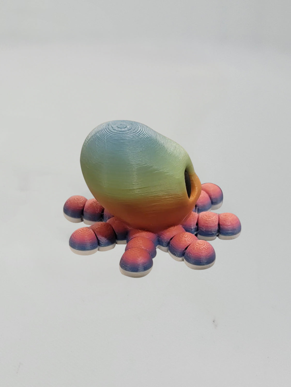 Rainbow Baby Octopus