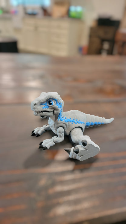 Velociraptor Dinosaur