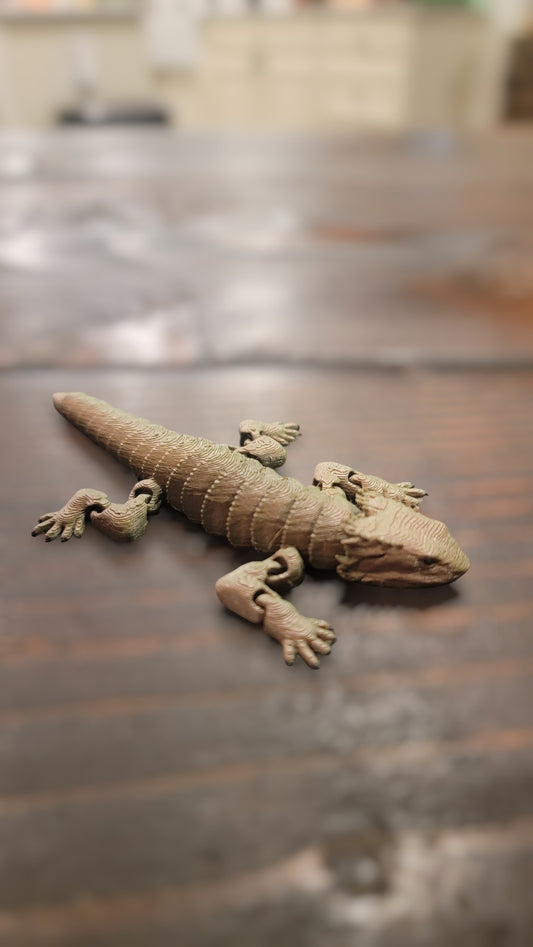 Bearded Dragon