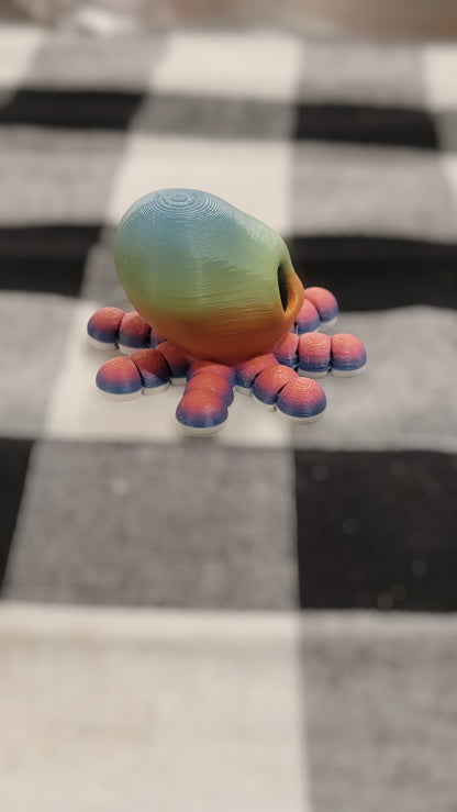Rainbow Baby Octopus