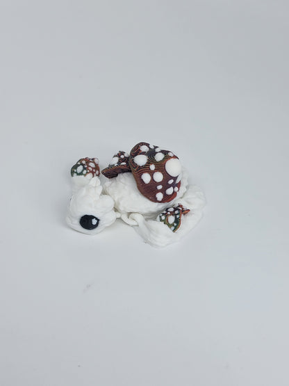 Turtle Pals