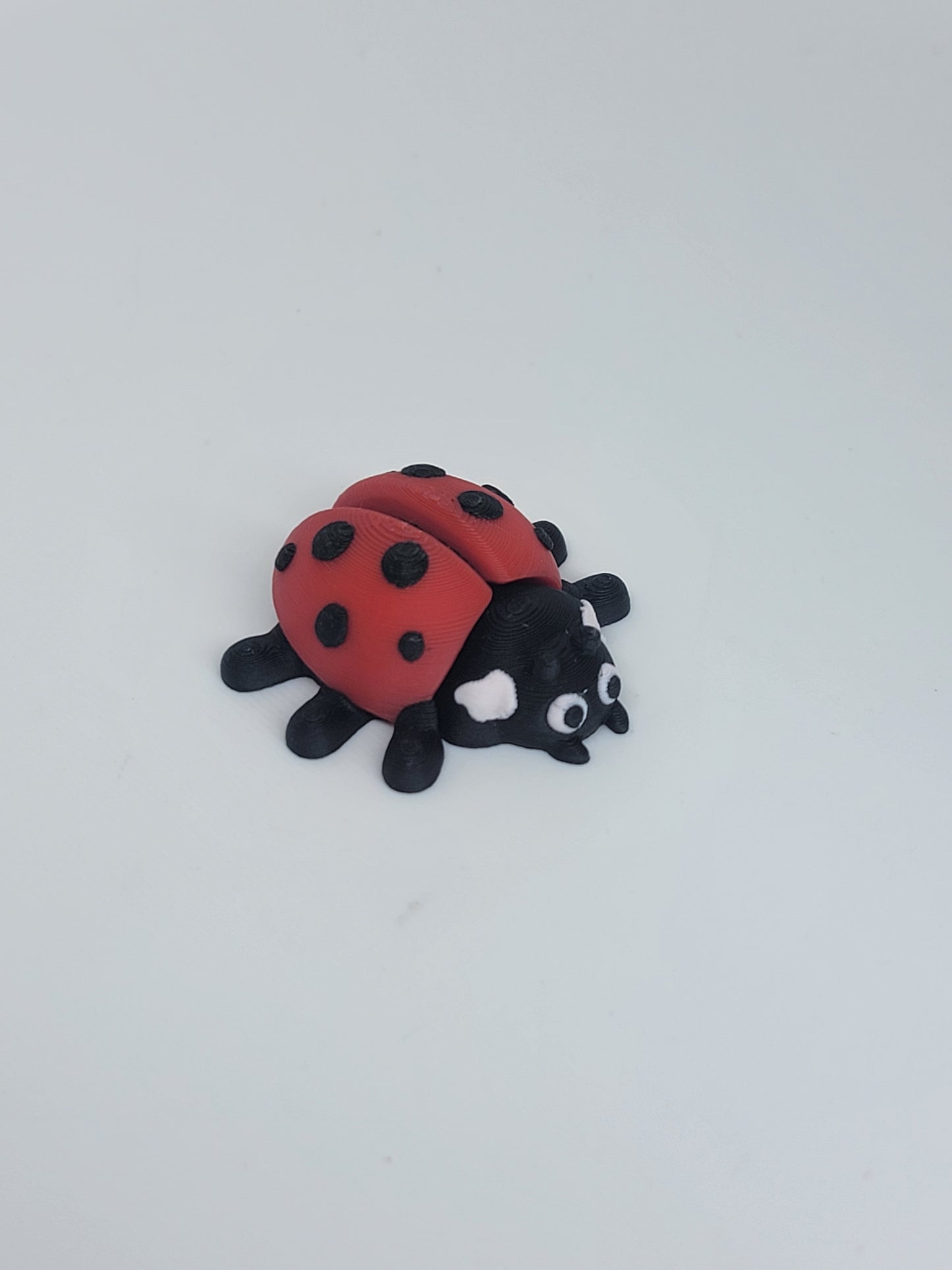 Ladybug