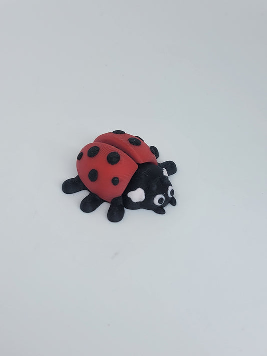 Ladybug