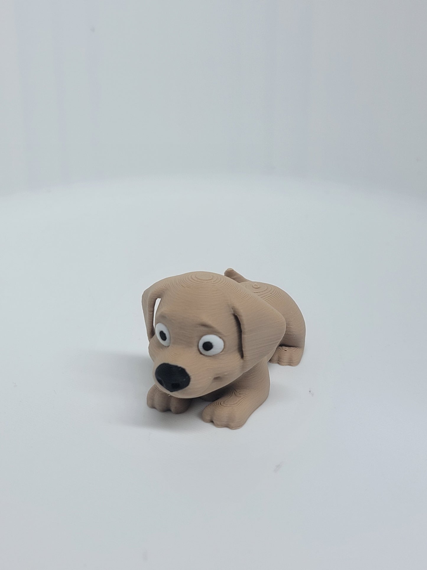 Puppies
