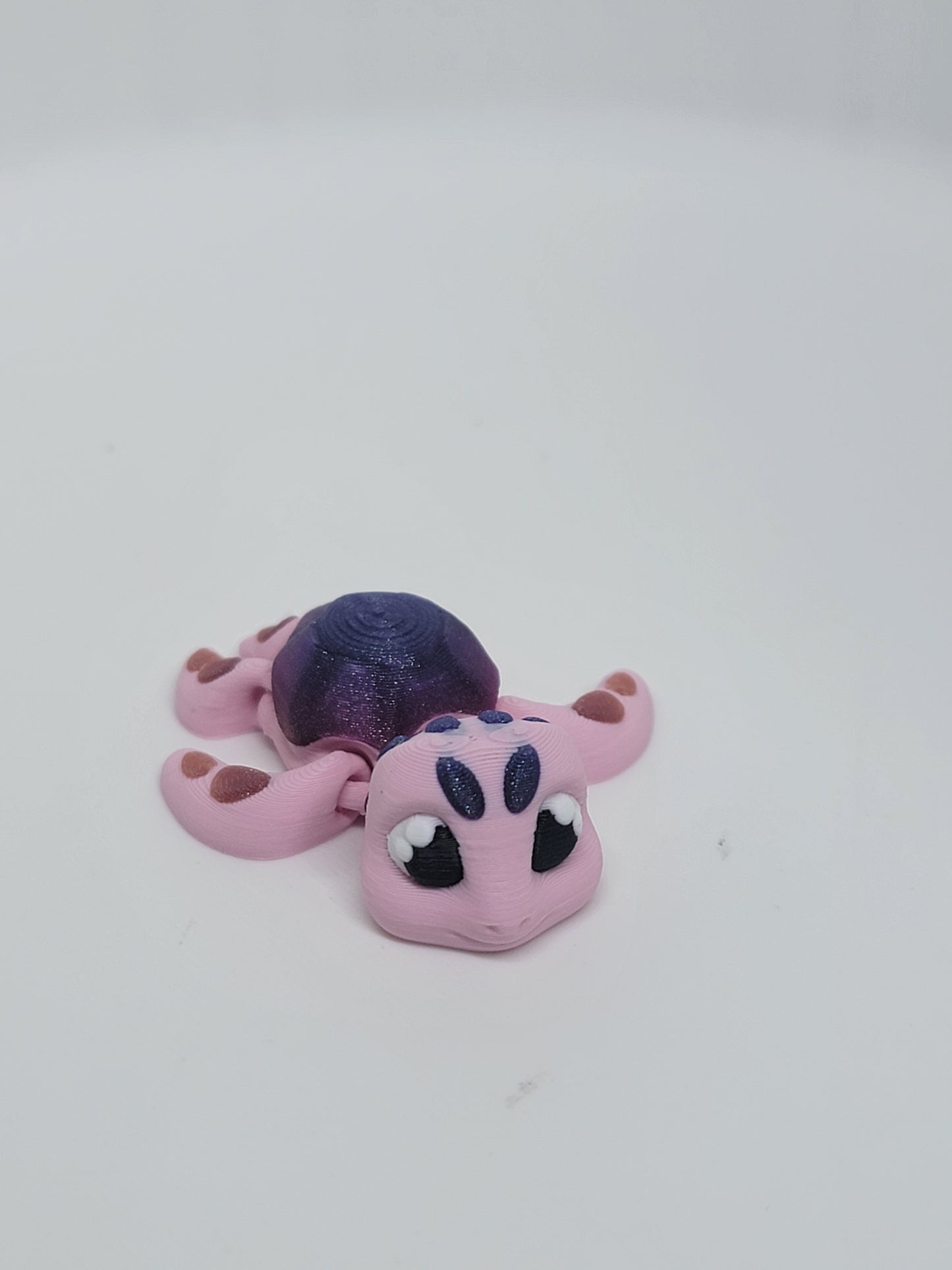 Turtle Pals