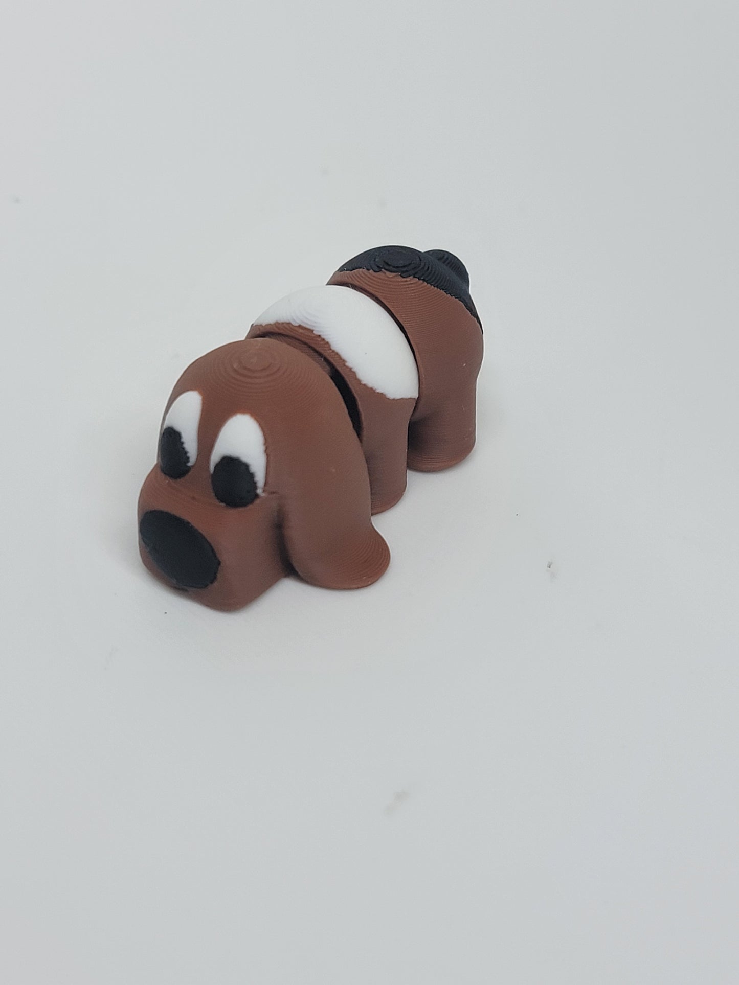 Puppies