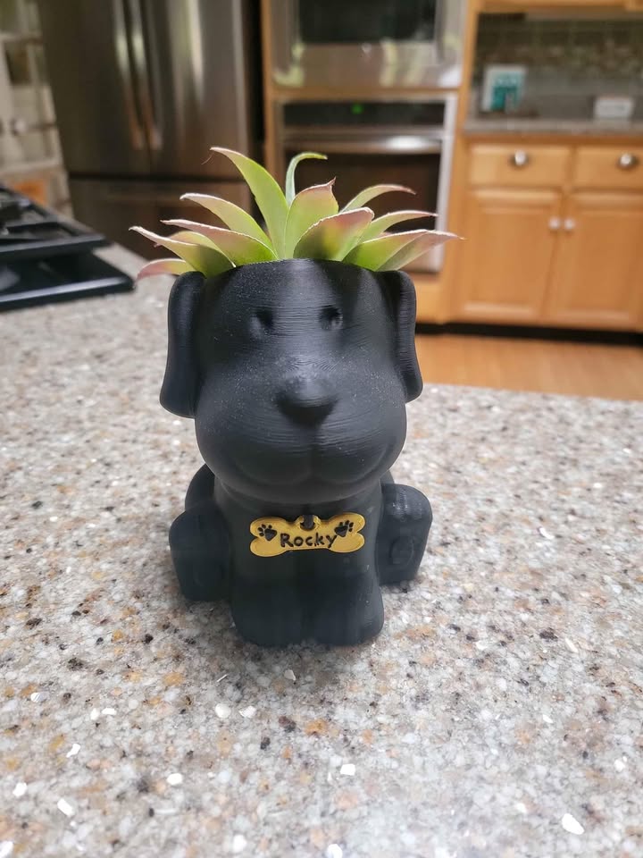 Printed Dog Plant Pots