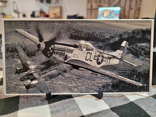 3d Printed WWII Plane Paintings