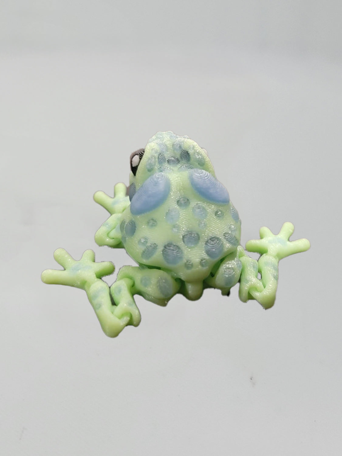 Glow in the Dark Tree Frog