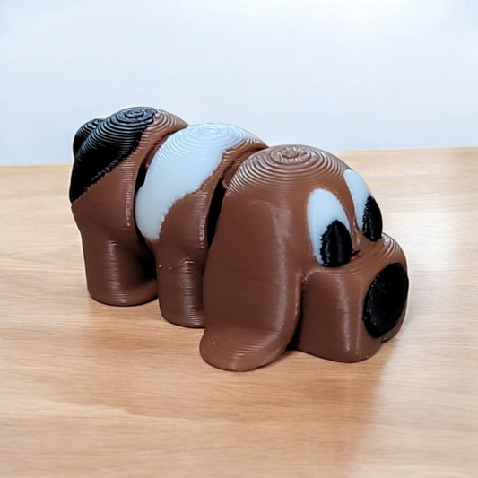Basset Hound