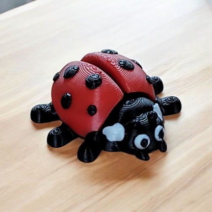Ladybug